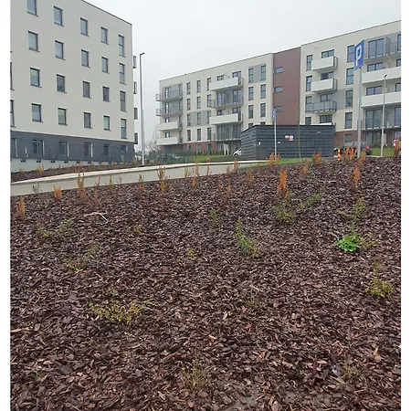 Blask, W Zaciszu Zieleni Z Ogrodkiem