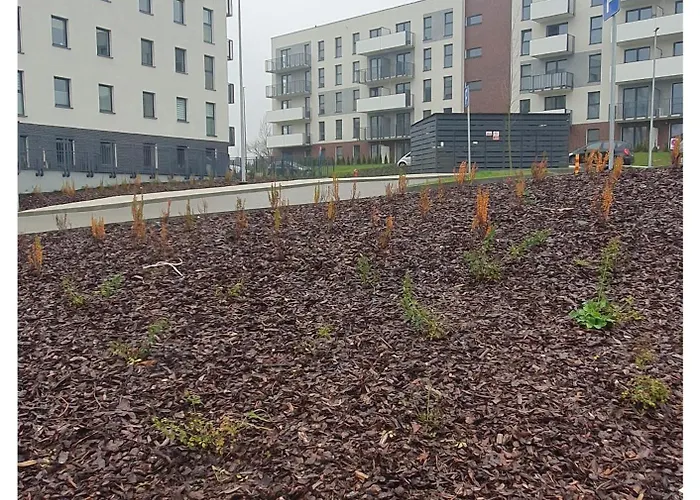 Blask, W Zaciszu Zieleni Z Ogrodkiem